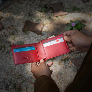 BB BOSCO SIM WALLET Brown_bear_in