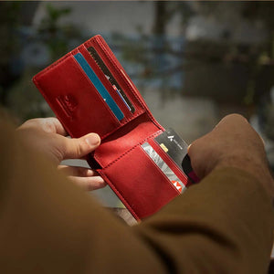 BB BOSCO SIM WALLET Brown_bear_in