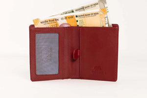 BB SLIM NOTE WALLET Brown_bear_in