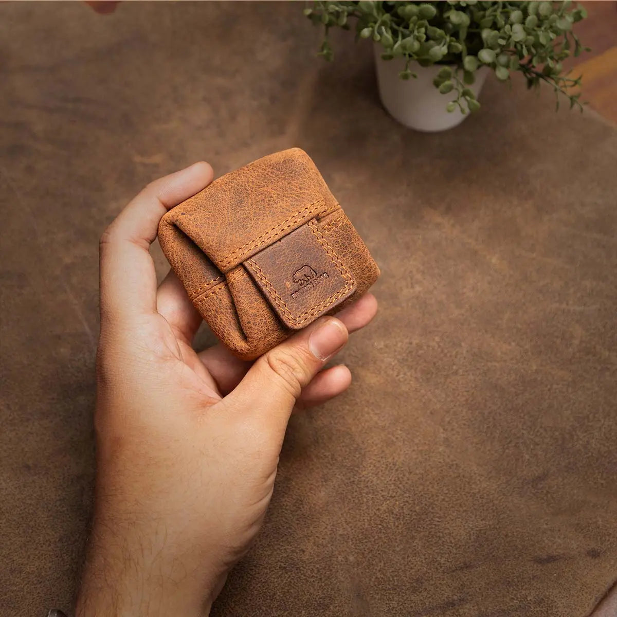 BB COIN PURSE Brown_bear_in