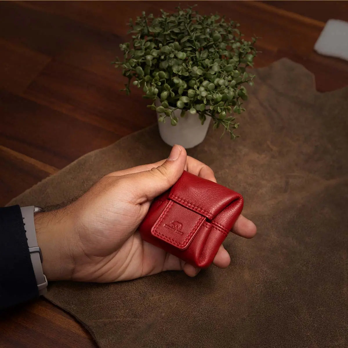 BB COIN PURSE Brown_bear_in