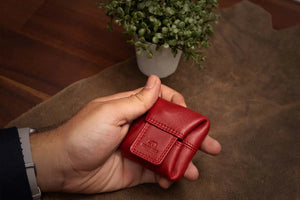 BB COIN PURSE Brown_bear_in