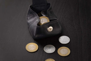 BB COIN PURSE Brown_bear_in