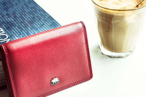 Multi piece Card Holder Wallet with Flap in Genuine Leather - Brown Bear